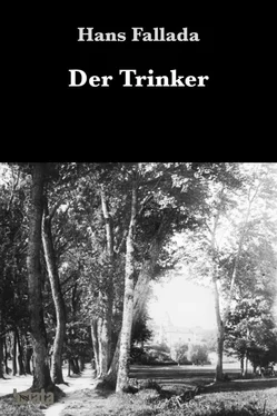 Hans Fallada Der Trinker обложка книги