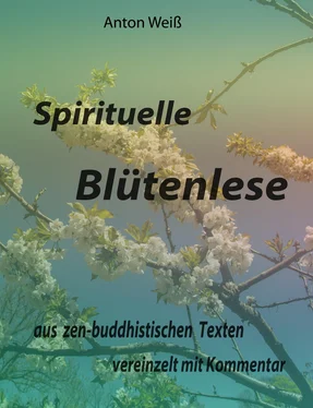Anton Weiß Spirituelle Blütenlese обложка книги