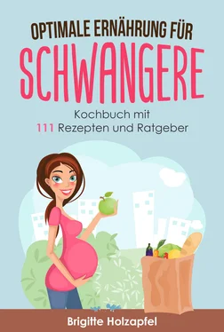 Brigitte Holzapfel Optimale Ernährung für Schwangere: обложка книги