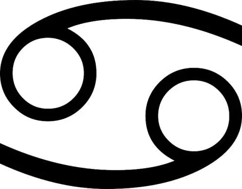 Löwe Die Gestaltung das Feuer die Schöpfungskraft POSITIV - фото 30