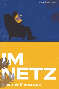Kurt Felix Weill Im Netz обложка книги