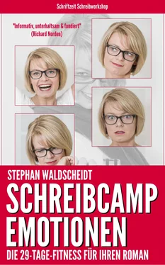 Stephan Waldscheidt Schreibcamp: Emotionen обложка книги