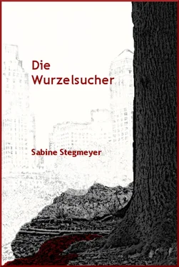 Sabine Stegmeyer Die Wurzelsucher обложка книги