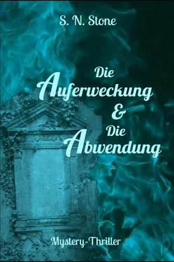 S. N. Stone Die Auferweckung & Die Abwendung обложка книги