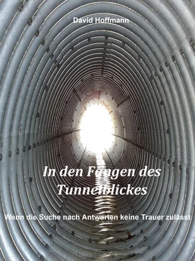 David Hoffmann In den Fängen des Tunnelblickes обложка книги