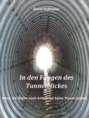 David Hoffmann - In den Fängen des Tunnelblickes