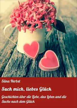 Siina Herbst Such mich, liebes Glück обложка книги