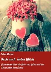 Siina Herbst - Such mich, liebes Glück