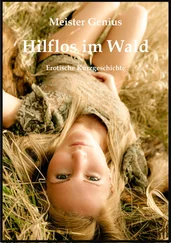 Meister Genius - Hilflos im Wald