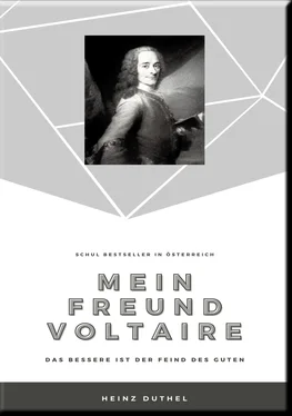 Heinz Duthel MEIN FREUND VOLTAIRE – обложка книги