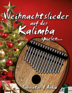 Willi Erhard Weihnachtslieder auf der Kalimba spielen обложка книги