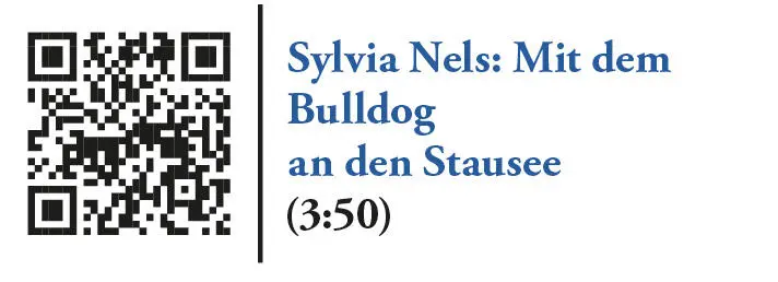 Portal der Burg Rittersdorf Sommeridyll an der Nims - фото 6
