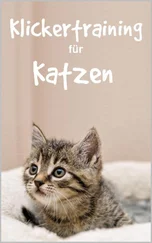 Thorsten Hawk - Klickertraining für Katzen