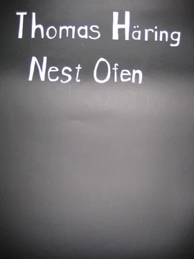 Thomas Häring Nest Ofen обложка книги