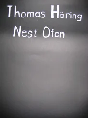 Thomas Häring - Nest Ofen