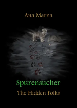 Ana Marna Spurensucher обложка книги