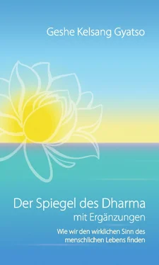 Geshe Kelsang Gyatso Der Spiegel des Dharma mit Ergänzungen обложка книги