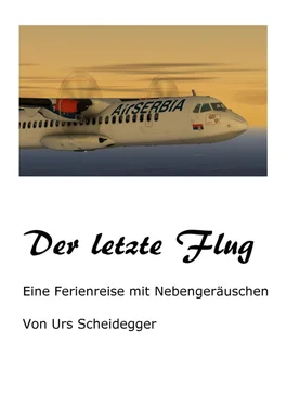 Urs Scheidegger Der letzte Flug обложка книги