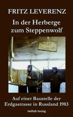 Fritz Leverenz In der Herberge zum Steppenwolf обложка книги