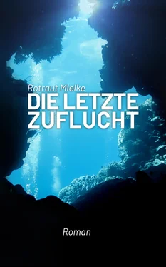 Rotraut Mielke Die letzte Zuflucht обложка книги