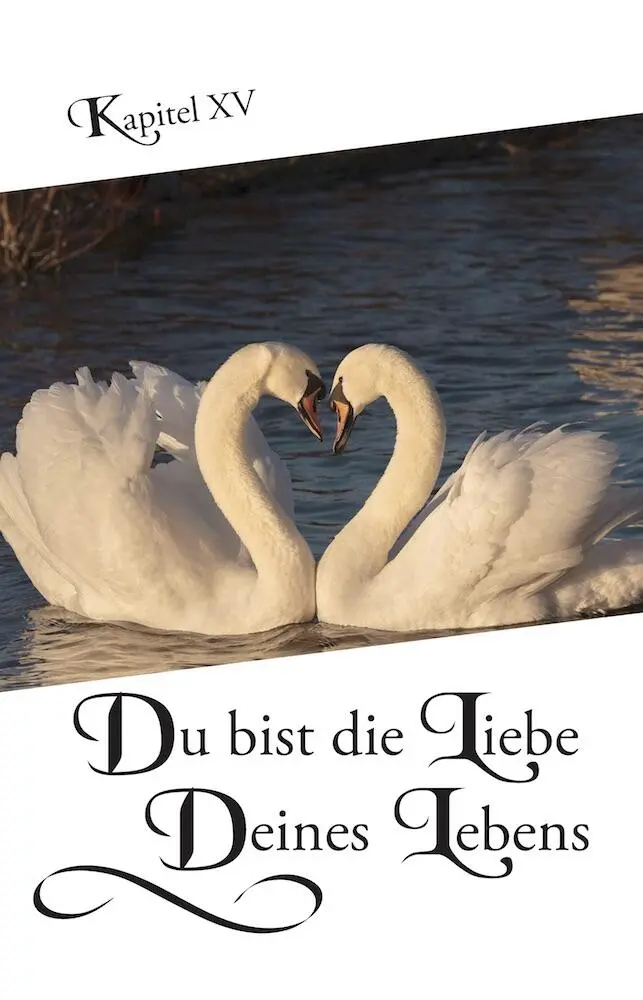 Du bist die Liebe Deines Lebens deshalb suche nicht vergebens bei dem was - фото 2