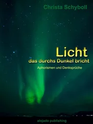 Christa Schyboll - Licht, das durchs Dunkel bricht