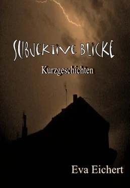Eva Eichert Subjektive Blicke обложка книги