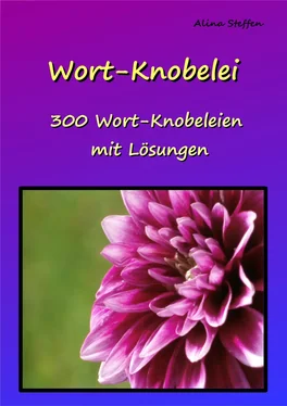 Alina Steffen Wort-Knobelei обложка книги