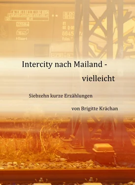 Brigitte Krächan Intercity nach Mailand - vielleicht обложка книги