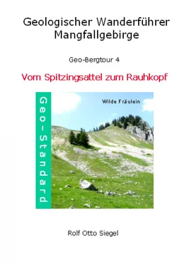 Rolf Otto Siegel Geologischer Wanderführer - Mangfallgebirge обложка книги