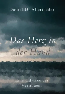 Daniel Allertseder Das Herz in der Hand обложка книги