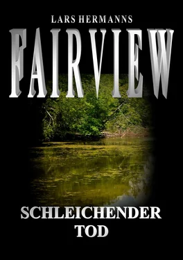 Lars Hermanns Fairview - Schleichender Tod обложка книги