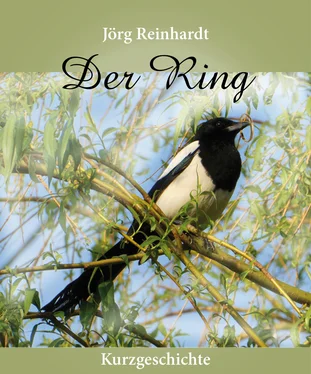 Jörg Reinhardt Der Ring обложка книги