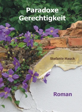 Stefanie Hauck Paradoxe Gerechtigkeit обложка книги