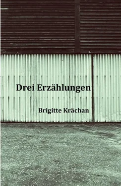 Brigitte Krächan Drei Erzählungen обложка книги