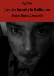 Roger Izzy - Creative Insanity In Madhouses