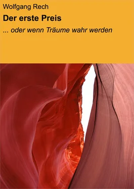 Wolfgang Rech Der erste Preis обложка книги