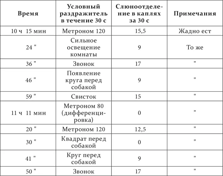 Теперь в 11 часов 59 минут была пущена вода в комнату собаки Много месяцев - фото 228