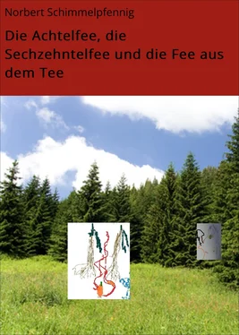 Norbert Schimmelpfennig Die Achtelfee, die Sechzehntelfee und die Fee aus dem Tee обложка книги