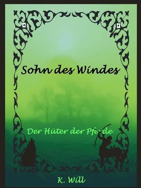 K. Will Sohn des Windes обложка книги