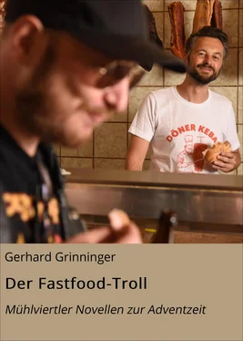 Gerhard Grinninger Der Fastfood-Troll обложка книги