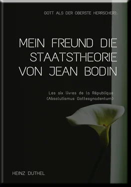 Heinz Duthel MEIN FREUND DIE STAATSTHEORIE VON JEAN BODIN обложка книги