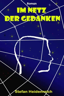 Stefan Heidenreich Im Netz der Gedanken обложка книги