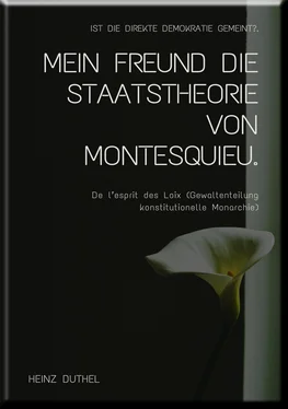 Heinz Duthel MEIN FREUND DIE STAATSTHEORIE VON MONTESQUIEU обложка книги