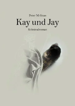 Peter Gnas Kay und Jay обложка книги