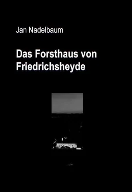 Jan Nadelbaum Das Forsthaus von Friedrichsheyde