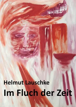 Helmut Lauschke Im Fluch der Zeit обложка книги