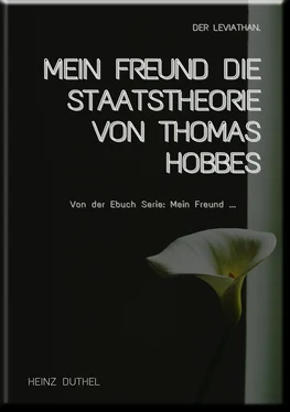 Heinz Duthel MEIN FREUND DIE STAATSTHEORIE VON THOMAS HOBBES обложка книги