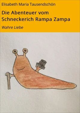 Elisabeth Maria Tausendschön Die Abenteuer vom Schneckerich Rampa Zampa обложка книги