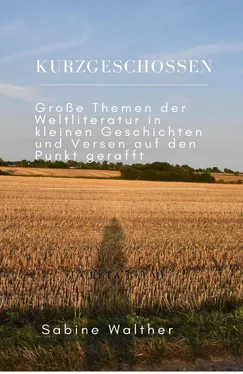 Sabine Walther Kurzgeschossen обложка книги